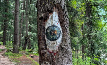Manali Eye Tree