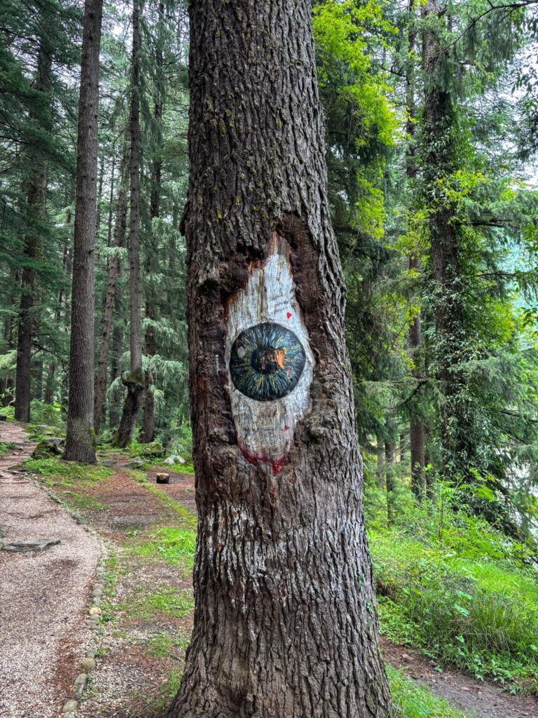 Manali Eye Tree